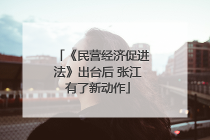 《民营经济促进法》出台后 张江有了新动作