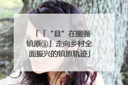 「“县”在图强·镇原③」走向乡村全面振兴的镇原轨迹