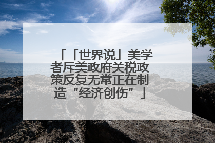 「世界说」美学者斥美政府关税政策反复无常正在制造“经济创伤”