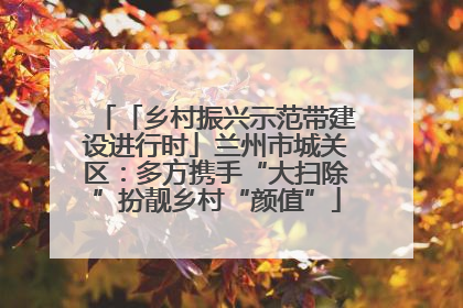 「乡村振兴示范带建设进行时」兰州市城关区：多方携手“大扫除”扮靓乡村“颜值”