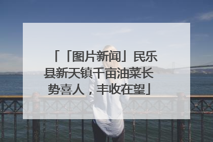 「图片新闻」民乐县新天镇千亩油菜长势喜人，丰收在望