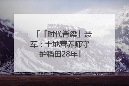 「时代脊梁」聂军：土地营养师守护稻田28年