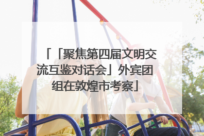「聚焦第四届文明交流互鉴对话会」外宾团组在敦煌市考察