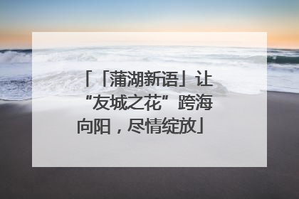 「蒲湖新语」让“友城之花”跨海向阳，尽情绽放