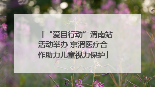 “爱目行动”渭南站活动举办 京渭医疗合作助力儿童视力保护