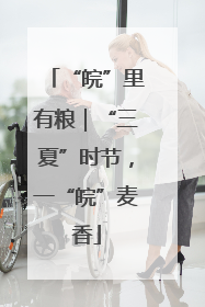 “皖”里有粮｜“三夏”时节，一“皖”麦香