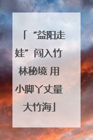 “益阳走娃”闯入竹林秘境 用小脚丫丈量大竹海