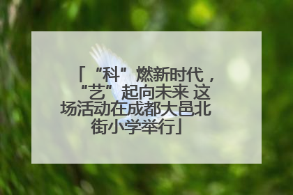 “科”燃新时代，“艺”起向未来 这场活动在成都大邑北街小学举行