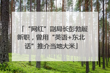 “网红”副局长彭勃履新职，曾用“英语+东北话”推介当地大米