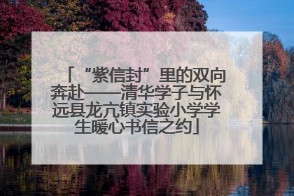 “紫信封”里的双向奔赴——清华学子与怀远县龙亢镇实验小学学生暖心书信之约