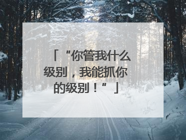 “你管我什么级别，我能抓你的级别！”