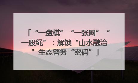 “一盘棋”“一张网”“一股绳”：解锁“山水融治”生态警务“密码”