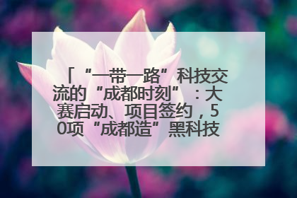 “一带一路”科技交流的“成都时刻”：大赛启动、项目签约，50项“成都造”黑科技吸引多国客商