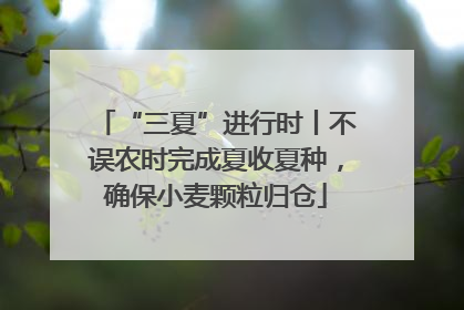 “三夏”进行时丨不误农时完成夏收夏种，确保小麦颗粒归仓