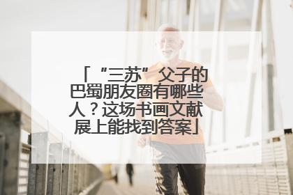 “三苏”父子的巴蜀朋友圈有哪些人？这场书画文献展上能找到答案