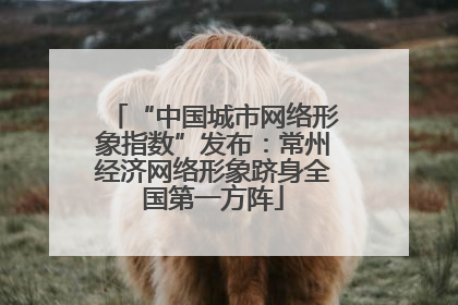 “中国城市网络形象指数”发布：常州经济网络形象跻身全国第一方阵