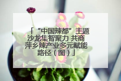 “中国辣都”主题沙龙集智聚力 共商萍乡辣产业多元赋能路径（图）