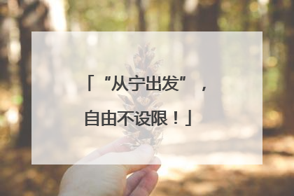 “从宁出发”，自由不设限！