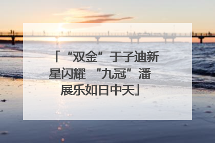 “双金”于子迪新星闪耀 “九冠”潘展乐如日中天