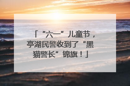 “六一”儿童节，亭湖民警收到了“黑猫警长”锦旗！