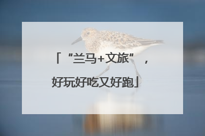 “兰马+文旅”，好玩好吃又好跑