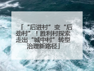 “后进村”变“后劲村”！胜利村探索走出“城中村”转型治理新路径