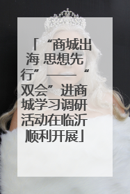 “商城出海 思想先行”——“双会”进商城学习调研活动在临沂顺利开展