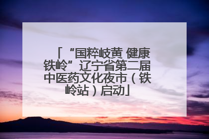 “国粹岐黄 健康铁岭”辽宁省第二届中医药文化夜市（铁岭站）启动