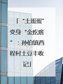 “土蛋蛋”变身“金疙瘩”：孙伯镇西程村土豆丰收记
