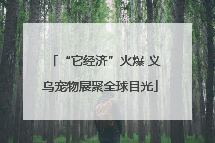 “它经济”火爆 义乌宠物展聚全球目光