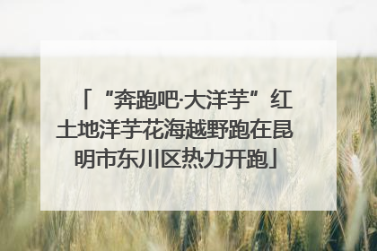 “奔跑吧·大洋芋”红土地洋芋花海越野跑在昆明市东川区热力开跑