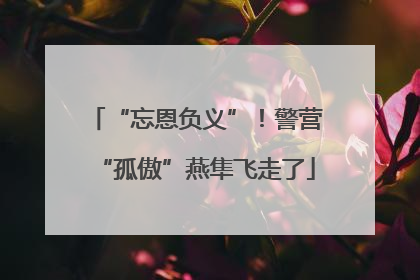 “忘恩负义”！警营“孤傲”燕隼飞走了