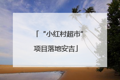 “小红村超市”项目落地安吉