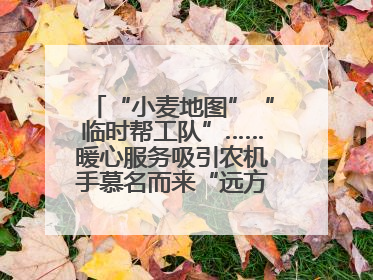 “小麦地图”“临时帮工队”……暖心服务吸引农机手慕名而来“远方的家”