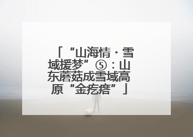“山海情・雪域援梦”⑤：山东蘑菇成雪域高原“金疙瘩”