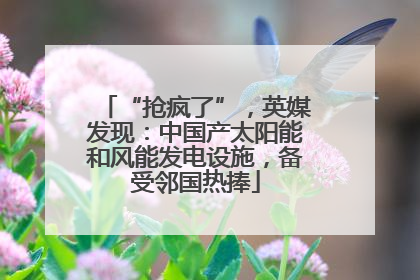 “抢疯了”，英媒发现：中国产太阳能和风能发电设施，备受邻国热捧