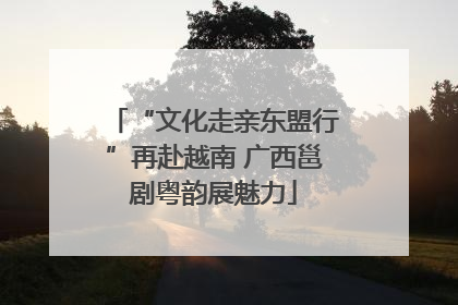 “文化走亲东盟行”再赴越南 广西邕剧粤韵展魅力