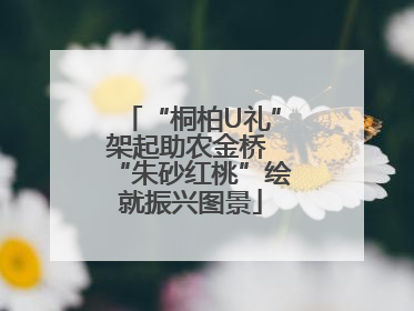 “桐柏U礼”架起助农金桥 “朱砂红桃”绘就振兴图景
