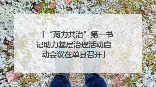 “菏力共治”第一书记助力基层治理活动启动会议在单县召开