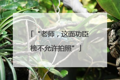 “老师，这面功臣榜不允许拍照”