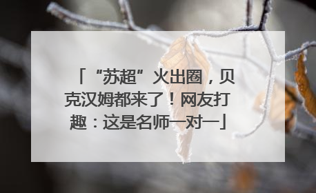 “苏超”火出圈，贝克汉姆都来了！网友打趣：这是名师一对一