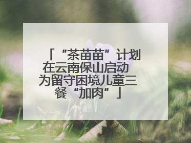“茶苗苗”计划在云南保山启动 为留守困境儿童三餐“加肉”