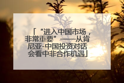 “进入中国市场，非常重要”——从肯尼亚-中国投资对话会看中非合作机遇