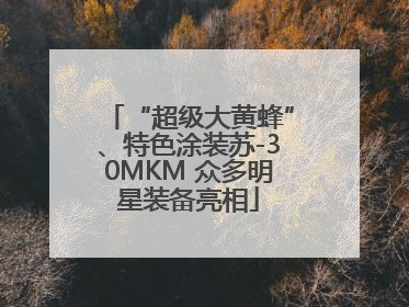 “超级大黄蜂”、特色涂装苏-30MKM 众多明星装备亮相