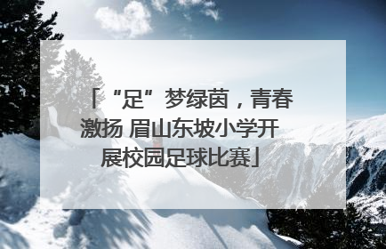 “足”梦绿茵，青春激扬 眉山东坡小学开展校园足球比赛