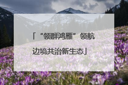 “领群鸿雁”领航边境共治新生态