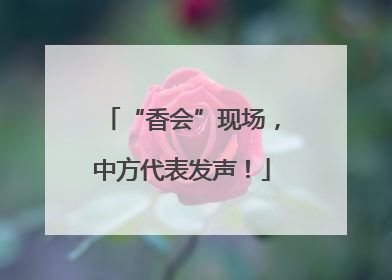 “香会”现场，中方代表发声！