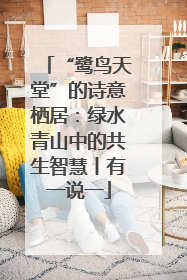 “鹭鸟天堂”的诗意栖居：绿水青山中的共生智慧丨有一说一