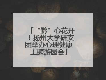 “黔”心花开！扬州大学研支团举办心理健康主题游园会