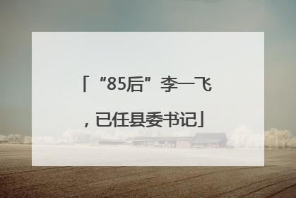 “85后”李一飞，已任县委书记
